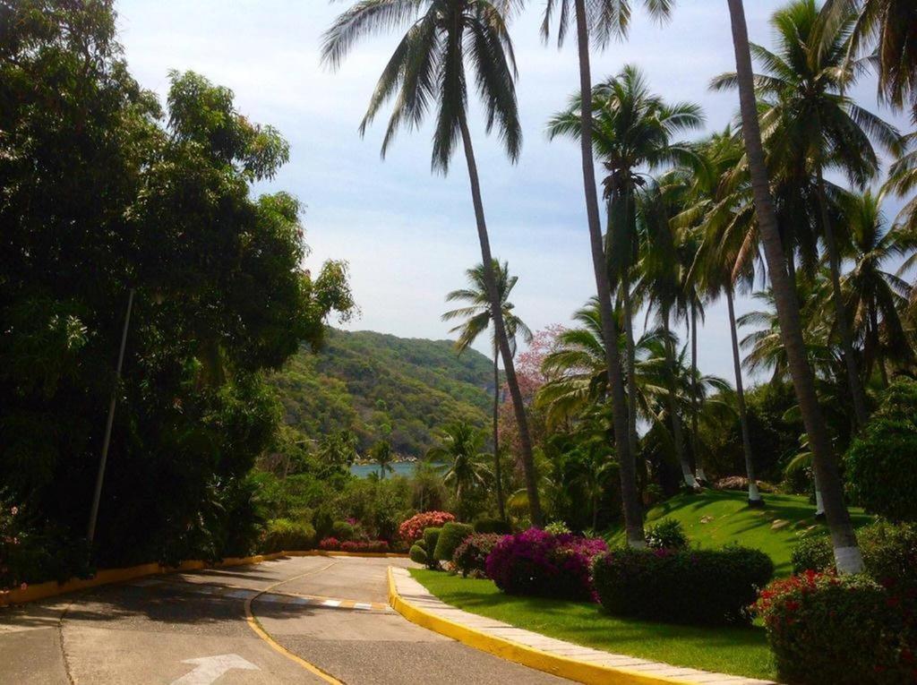 Paraiso Azul Acapulco Extérieur photo